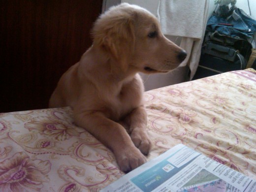 leyendo las noticias del dia!